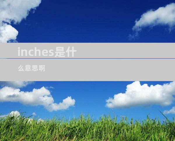 inches是什么意思啊