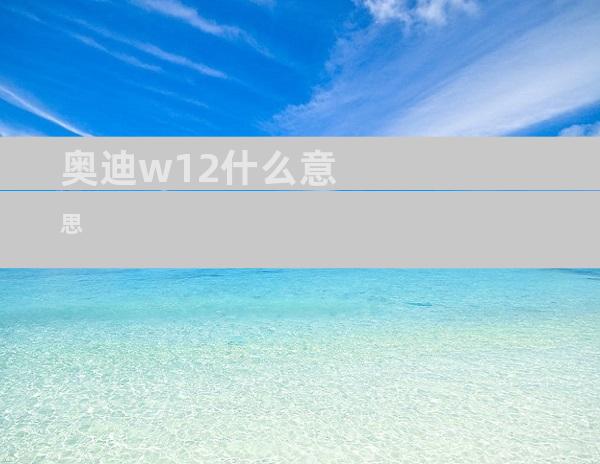 奥迪w12什么意思