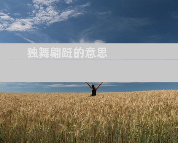 独舞翩跹的意思