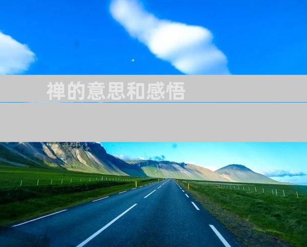禅的意思和感悟