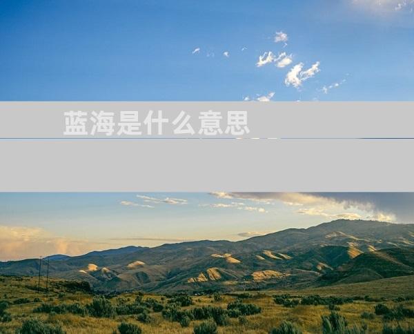 蓝海是什么意思