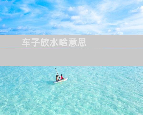 车子放水啥意思