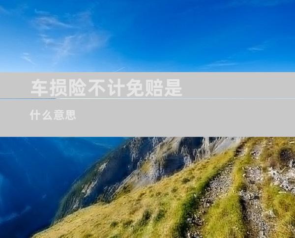 车损险不计免赔是什么意思