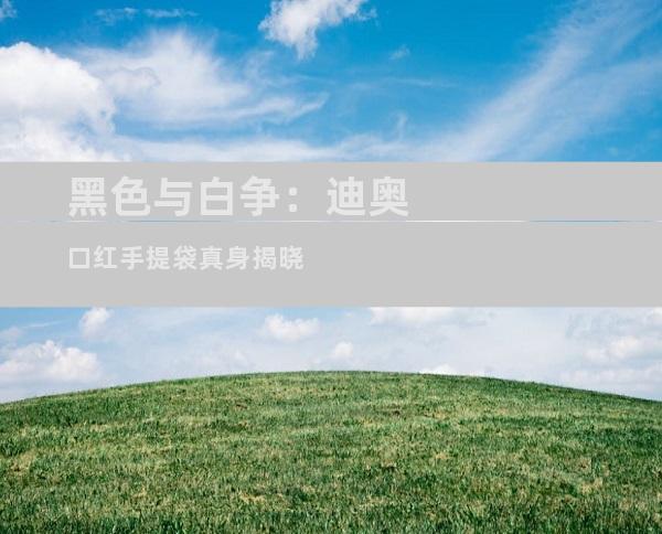 黑色与白争：迪奥口红手提袋真身揭晓